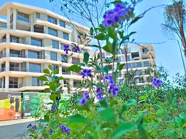 Properties For sale in Armonia Walk - TLD, R7, 191 sqm