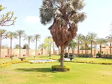 Properties For sale in Ahmed Zaghloul St., El Mansuriyyah, 24171 sqm
