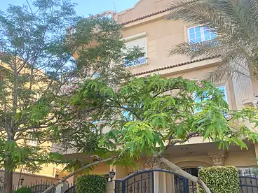 Properties For rent in Street 66, Second Neighborhood, 180 sqm