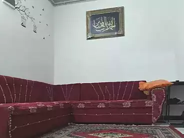 Furnished Apartment For rent in Mohammed Naguib St., Sidi Beshr Bahri, 80 sqm