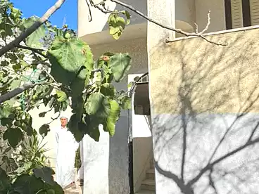 عقارات للبيع في أبو تلات، الاسكندرية، 204 متر