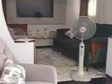 شقق للبيع في شارع 45، العصافرة، 95 متر