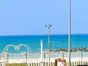 Properties For sale in Shatee El Nakheel, Al Agamy, 100 sqm