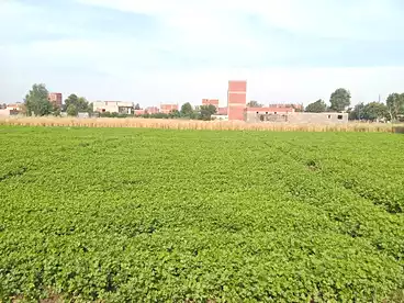 Properties For sale in El Barajil, Ausim, 130 sqm
