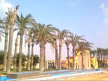 شقق للبيع في كمبوند نيست كايرو - شمال أفريقيا، كمبوند بالتجمع الخامس، 135 متر