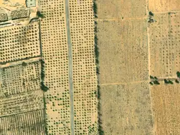 Properties For sale in East Dream, New Sphinx City, 26250 sqm