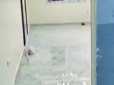 شقق للإيجار في شارع سلطان ابو سريع، فيصل، 140 متر