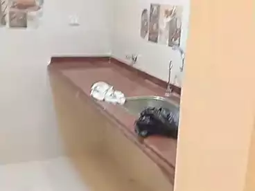 شقق للبيع في شارع جمال عبد الناصر، سيدي بشر بحري، 155 متر