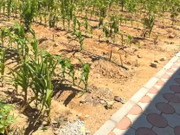Land For sale in Giza, Greater Cairo, 6300 sqm