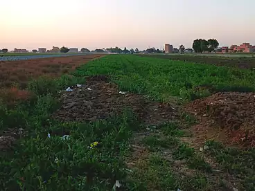 أراضي للبيع في بشتيل، القاهرة الكبرى، 16800 متر