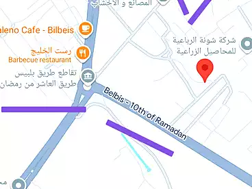 Industrial Land For sale in Industrial Zone, Belbes City, 5500 sqm