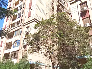 Apartments For sale in Neighborhood 1, New Fustat City, 135 sqm