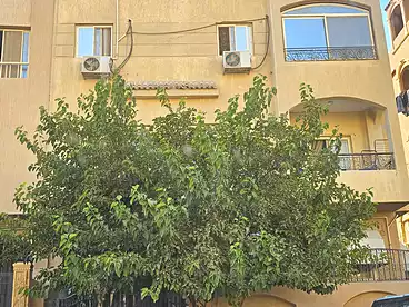 عقارات للبيع في شارع زيزينيا، المستثمرين الجنوبية، 240 متر