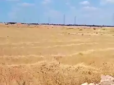 Properties For sale in El Yasha Village, New Nubariya, 63000 sqm