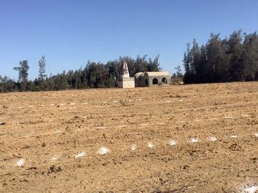 Farm For sale in Other Neighborhoods In Alex-Cairo Desert Road