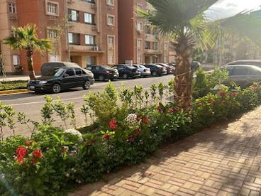 listing-image