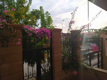 listing-image