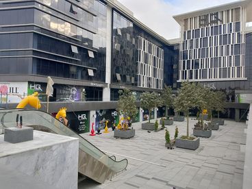 listing-image