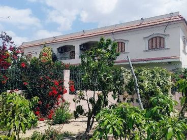 listing-image