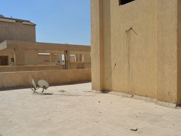 listing-image