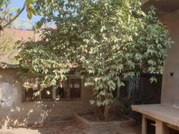 listing-image