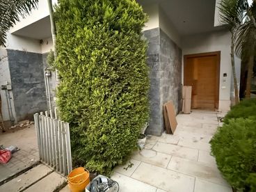 listing-image