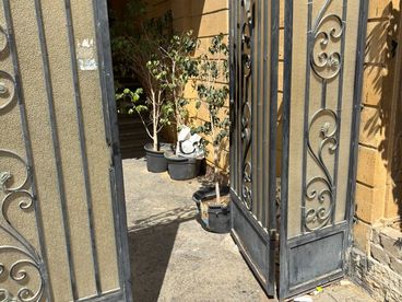 listing-image