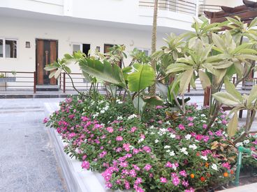 listing-image
