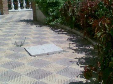 listing-image