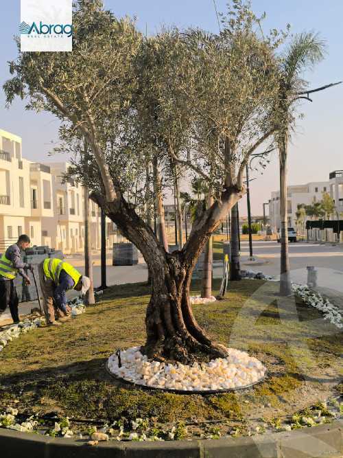 https://aqarmap.com.eg/en/listing/5537644-for-sale-cairo-el-sheikh-zayed-city-lshykh-zyd-ljdyd-lac-ville-el-gabry-developments