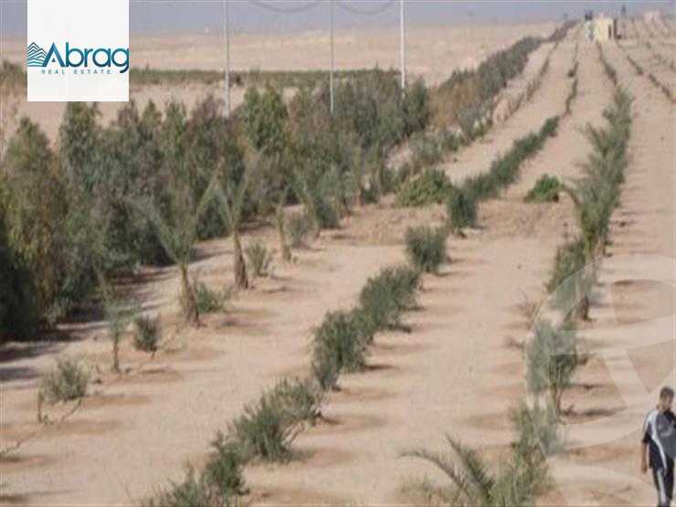 https://aqarmap.com.eg/en/listing/6117943-for-sale-cairo-6th-of-october-green-belt-wadi-el-nile