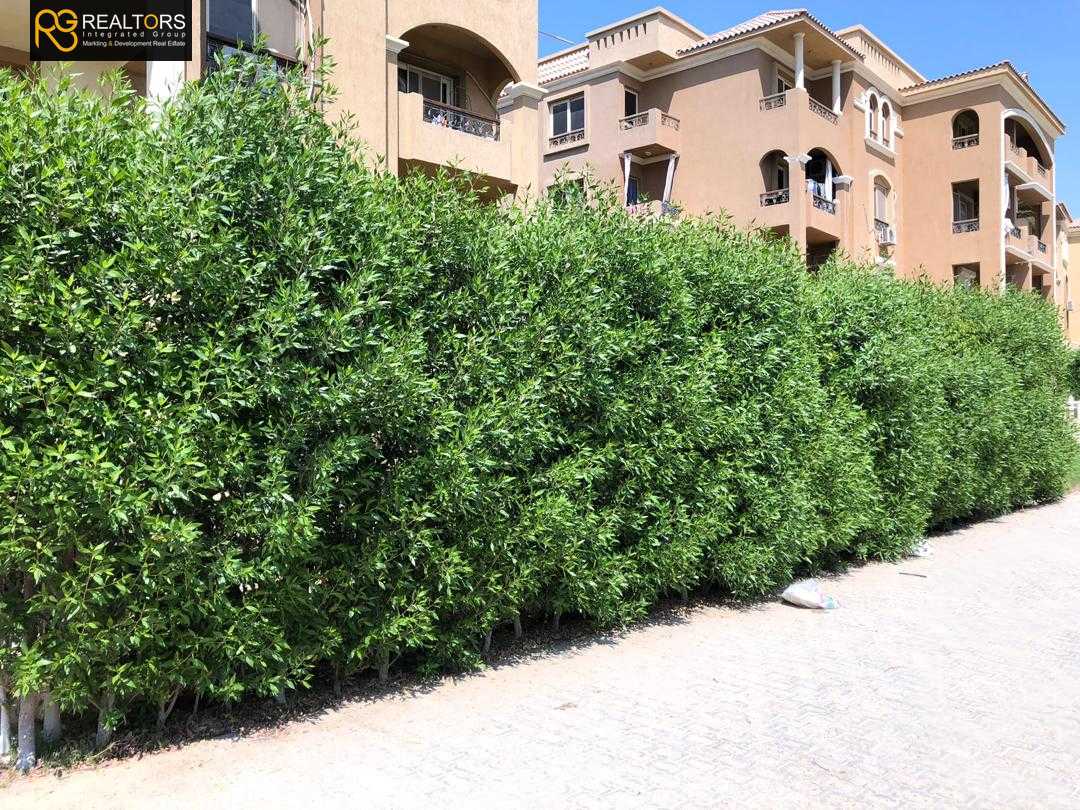 https://aqarmap.com.eg/ar/listing/3732402-for-sale-cairo-el-sheikh-zayed-city-compounds-in-sheikh-zayed-el-khamayel