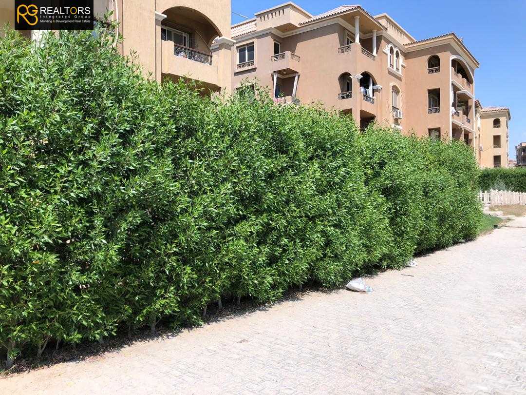 https://aqarmap.com.eg/ar/listing/3732402-for-sale-cairo-el-sheikh-zayed-city-compounds-in-sheikh-zayed-el-khamayel