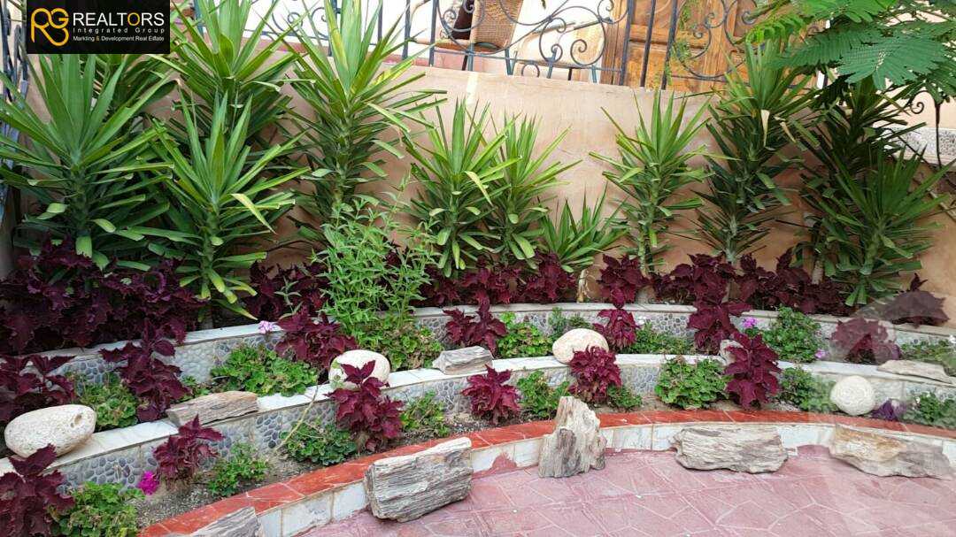 https://aqarmap.com.eg/ar/listing/5406391-for-sale-cairo-el-sheikh-zayed-city-compounds-continental-gardens