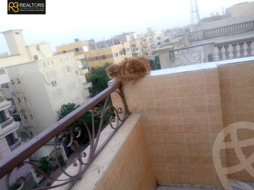 https://aqarmap.com.eg/en/listing/5409863-for-sale-cairo-6th-of-october-el-ahyaa-neighborhood-1st-al-shohadaa-st