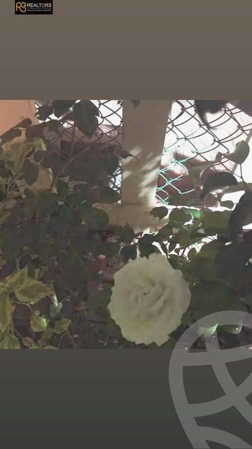 https://aqarmap.com.eg/en/listing/5774942-for-rent-cairo-el-sheikh-zayed-city-compounds-el-khamayel