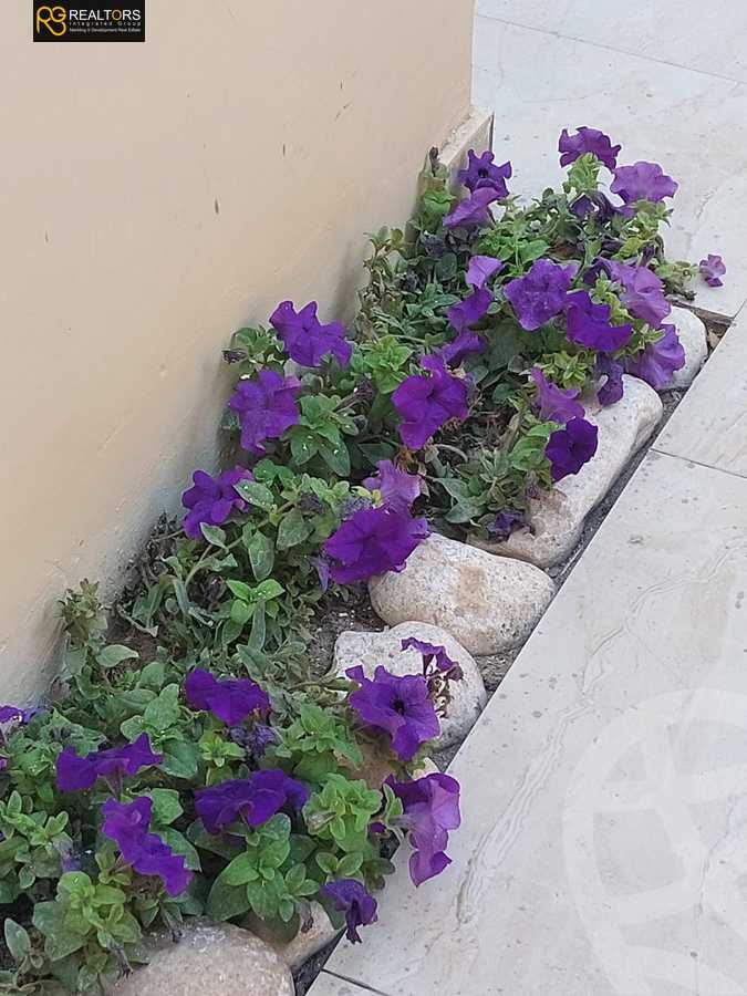 https://aqarmap.com.eg/en/listing/6093164-for-sale-cairo-el-sheikh-zayed-city-compounds