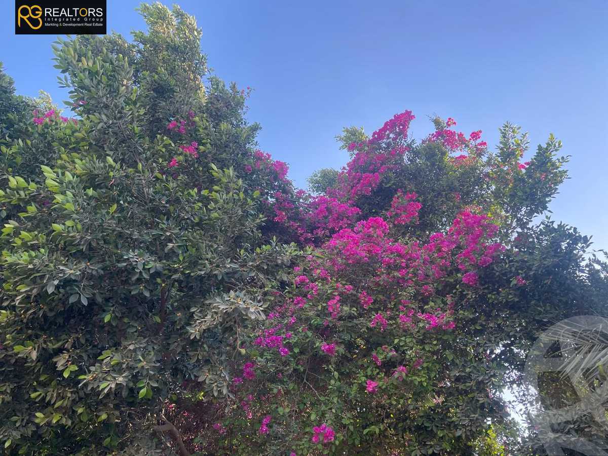 https://aqarmap.com.eg/en/listing/6395271-for-sale-cairo-6th-of-october-green-belt-wadi-el-nile