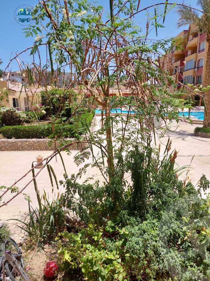 https://aqarmap.com.eg/en/listing/4066624-for-sale-red-sea-kwrnysh-lgrdq