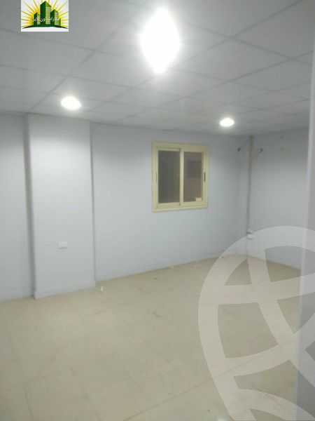 https://aqarmap.com.eg/en/listing/4824975-for-rent-cairo-elnozha-elgedidah-shr-jwzyf-tytw