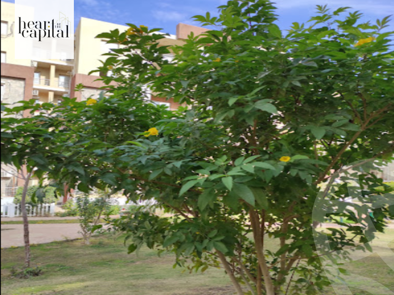 https://aqarmap.com.eg/en/listing/5332129-for-sale-cairo-new-cairo-compounds-dar-misr-el-koronfel