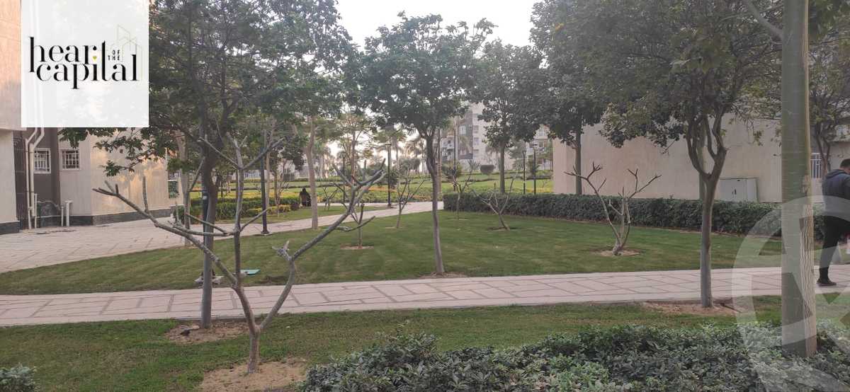 https://aqarmap.com.eg/en/listing/5811379-for-sale-cairo-new-cairo-madinaty-twelfth-zone-buildings