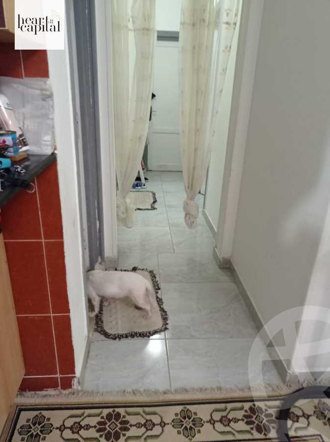 https://aqarmap.com.eg/en/listing/6259243-for-sale-cairo-new-cairo-lrhb-city-phase-1-nizar-kabani-st