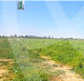 https://aqarmap.com.eg/en/listing/5424365-for-sale-alexandria-cairo-alexandria-desert-road
