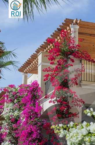 https://aqarmap.com.eg/en/listing/4875362-for-sale-red-sea-sahl-hasheesh-sahl-hasheesh-resorts-veranda