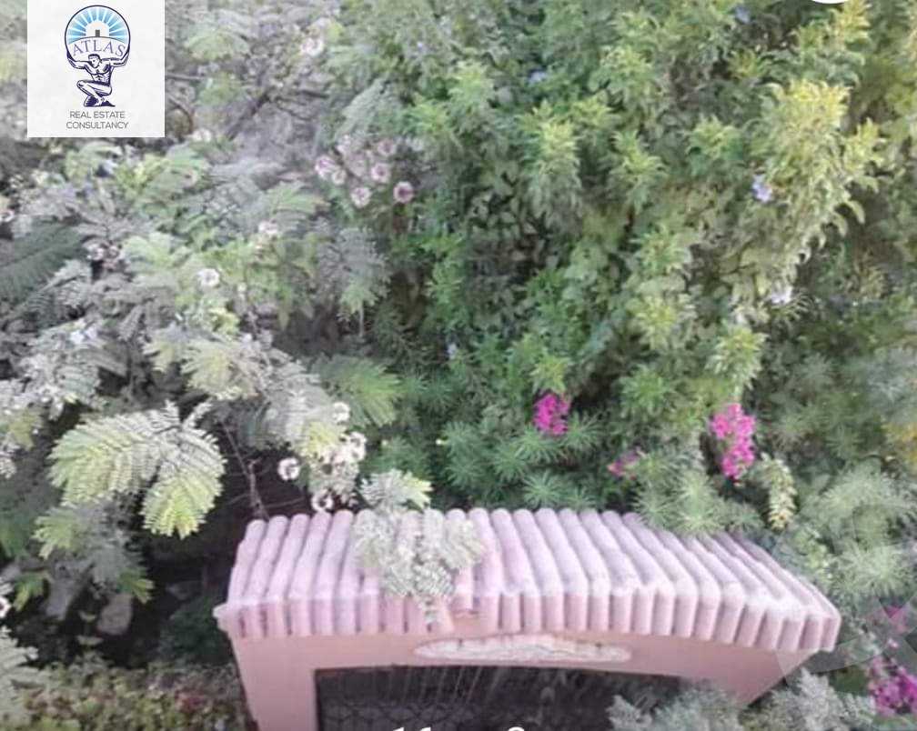 https://aqarmap.com.eg/en/listing/5947172-for-rent-cairo-new-cairo-ganob-el-akadamiya-south-academy-z