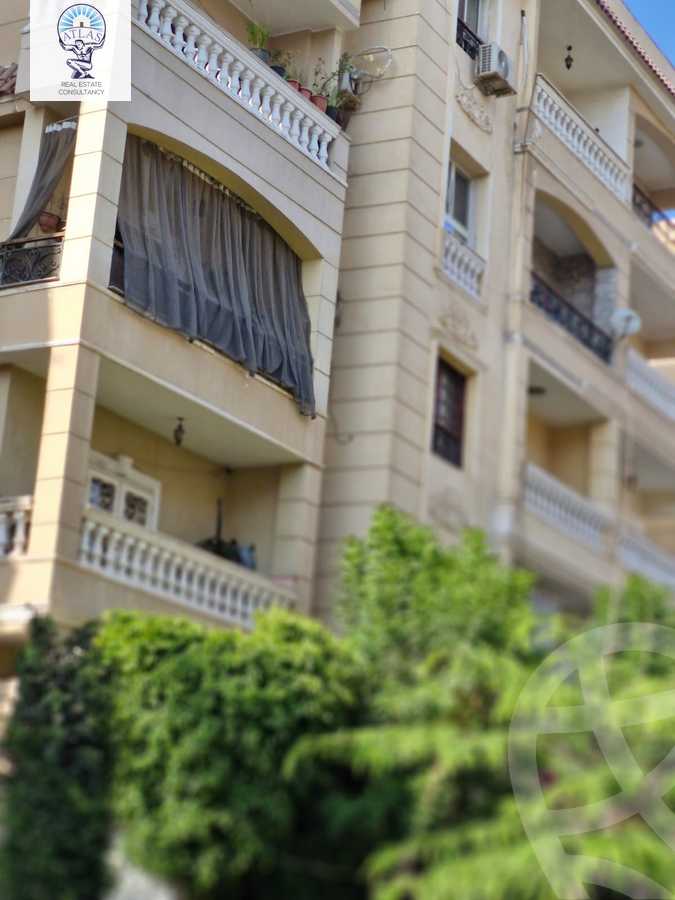 https://aqarmap.com.eg/en/listing/6042555-for-rent-cairo-new-cairo-el-narges-el-narges-omarat-mohamed-sabry-abu-alam-st