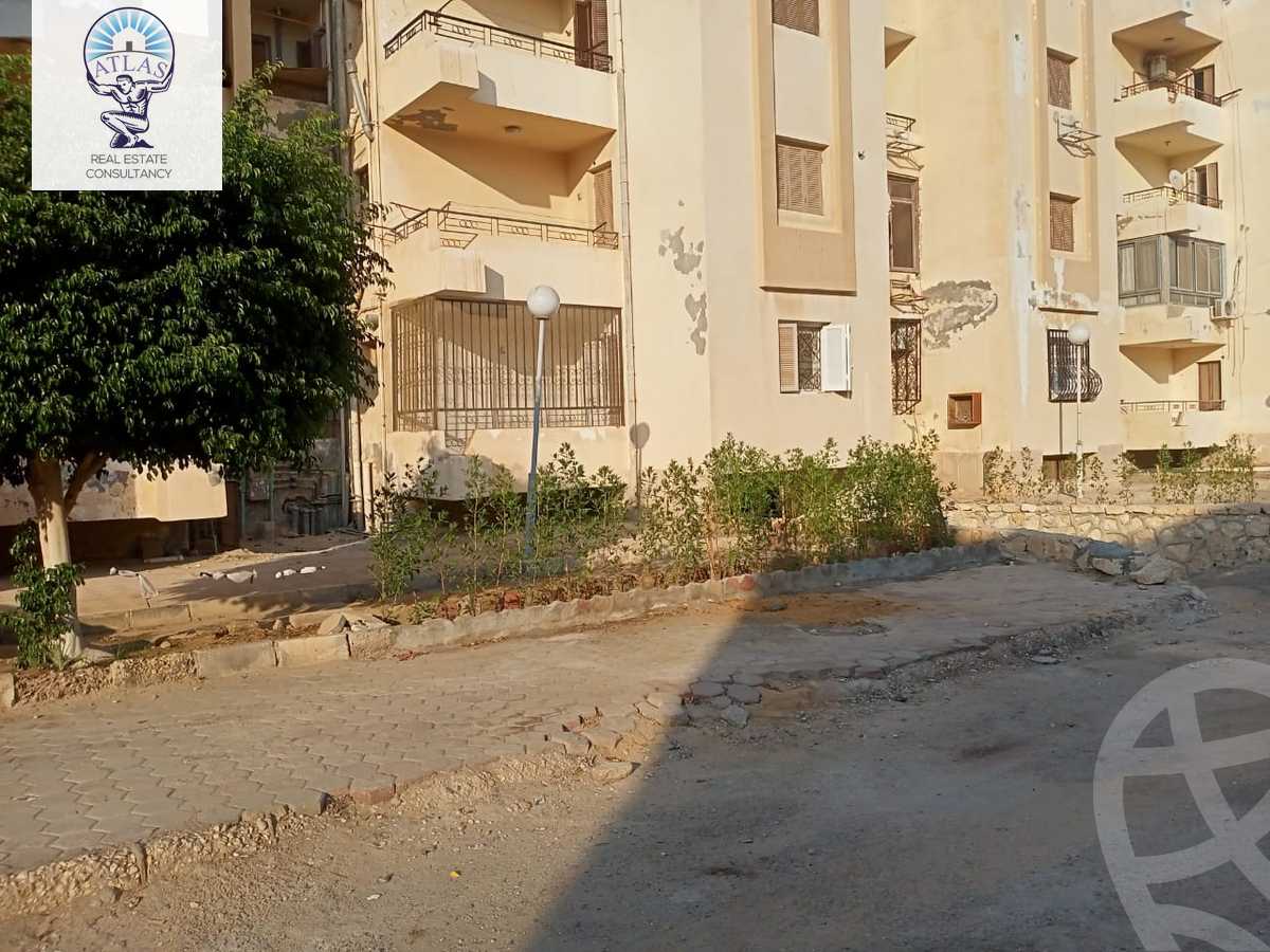 https://aqarmap.com.eg/en/listing/6117762-for-rent-cairo-new-cairo-compounds-la-rose