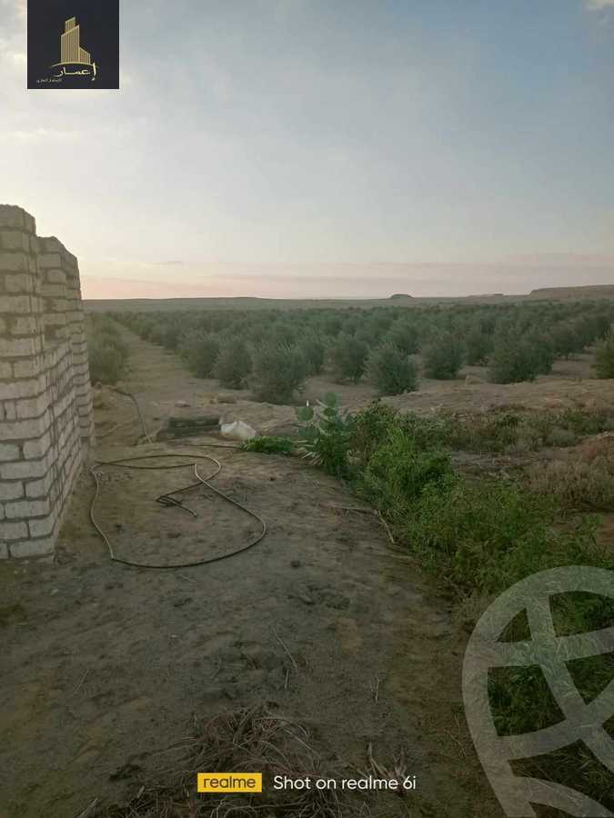 https://aqarmap.com.eg/ar/listing/4365970-for-sale-el-fayoum-mntq-fr-y-blfywm