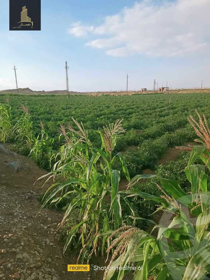 https://aqarmap.com.eg/ar/listing/4365970-for-sale-el-fayoum-mntq-fr-y-blfywm